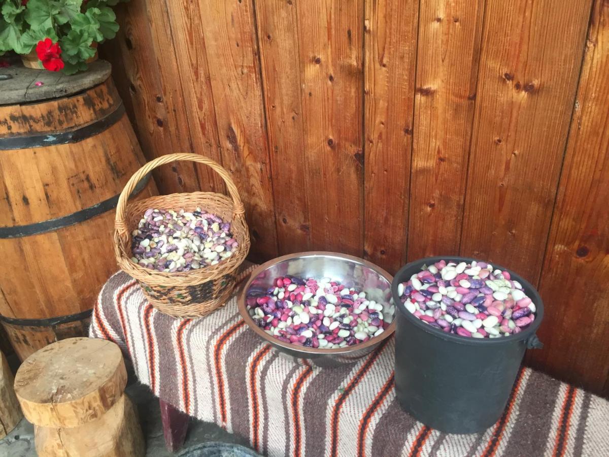 Pensiunea Agroturistica Casa Colinita Ватра Молдовицей Экстерьер фото