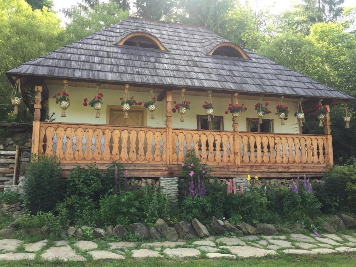 Pensiunea Agroturistica Casa Colinita Ватра Молдовицей Экстерьер фото