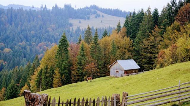 Pensiunea Agroturistica Casa Colinita Ватра Молдовицей Экстерьер фото