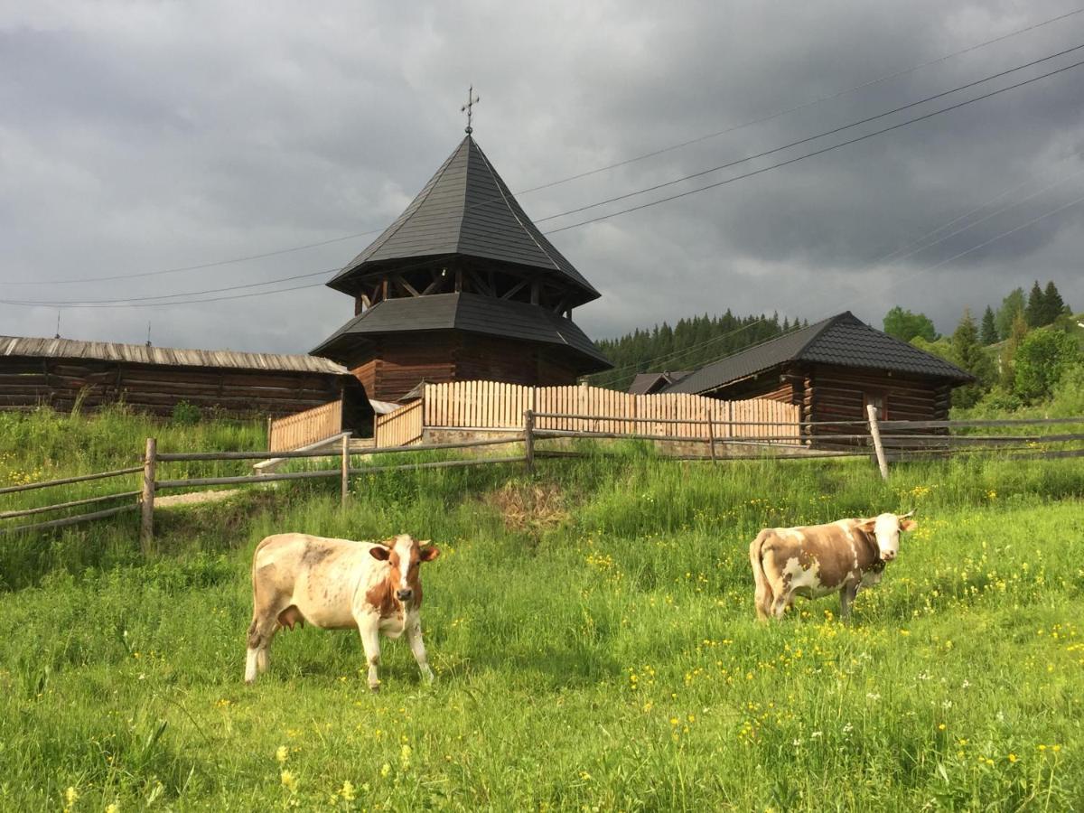 Pensiunea Agroturistica Casa Colinita Ватра Молдовицей Экстерьер фото