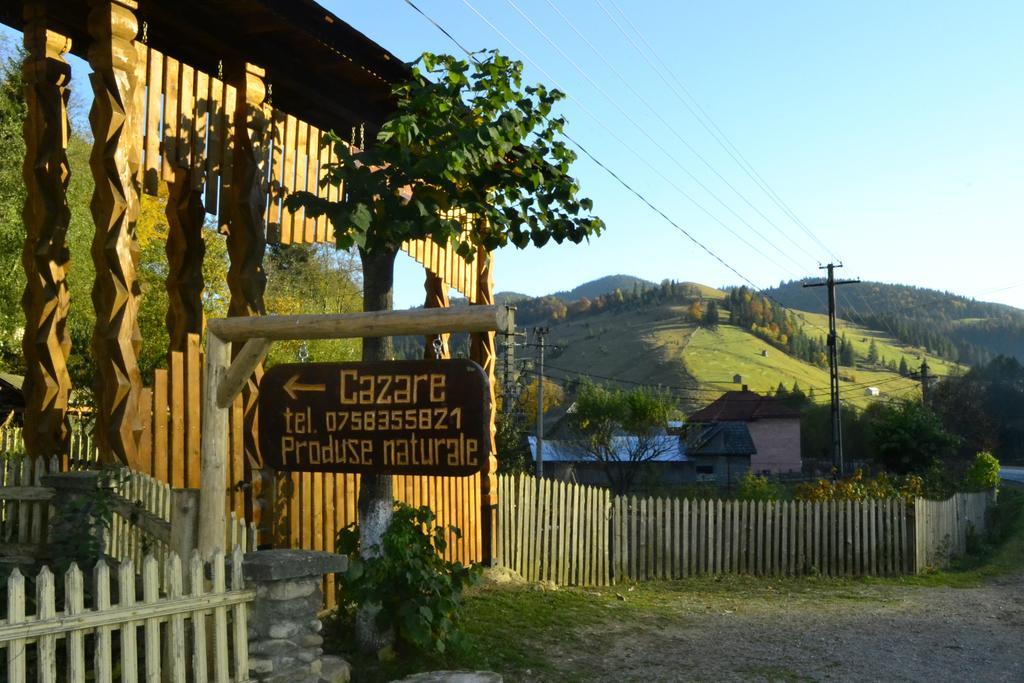 Pensiunea Agroturistica Casa Colinita Ватра Молдовицей Экстерьер фото
