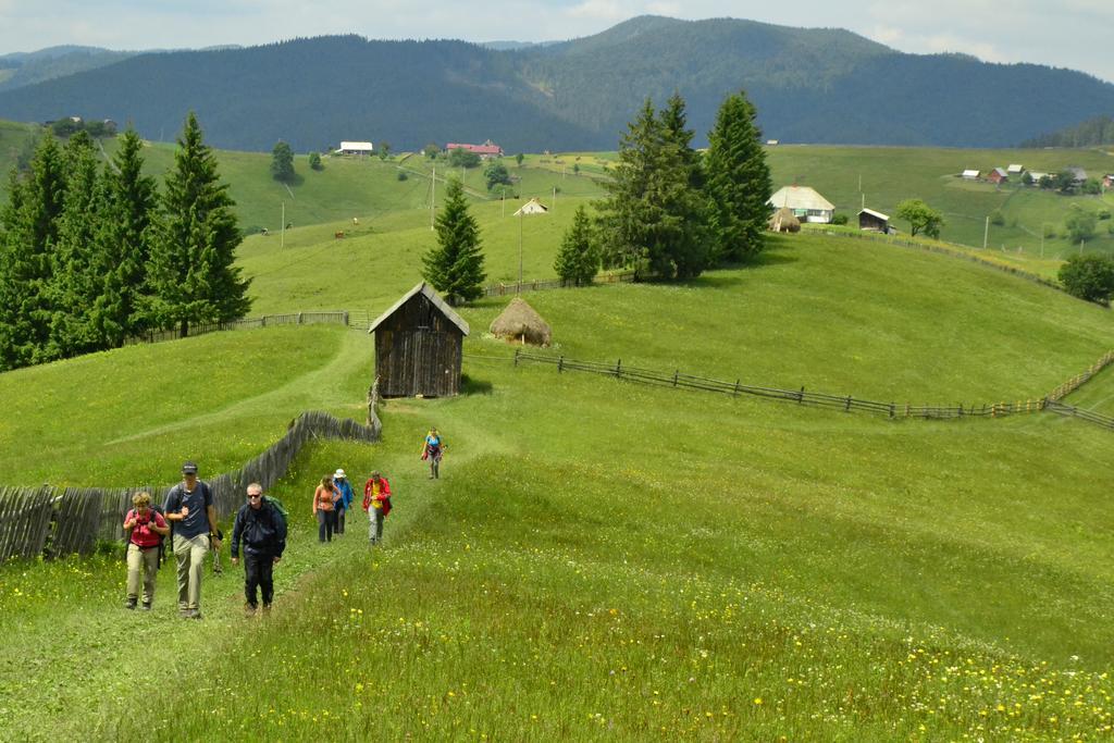 Pensiunea Agroturistica Casa Colinita Ватра Молдовицей Экстерьер фото
