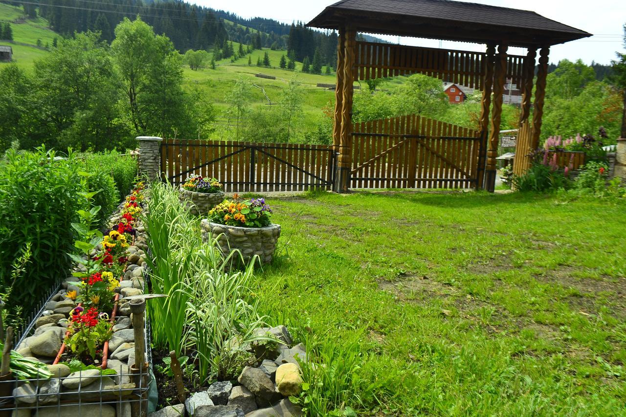 Pensiunea Agroturistica Casa Colinita Ватра Молдовицей Экстерьер фото